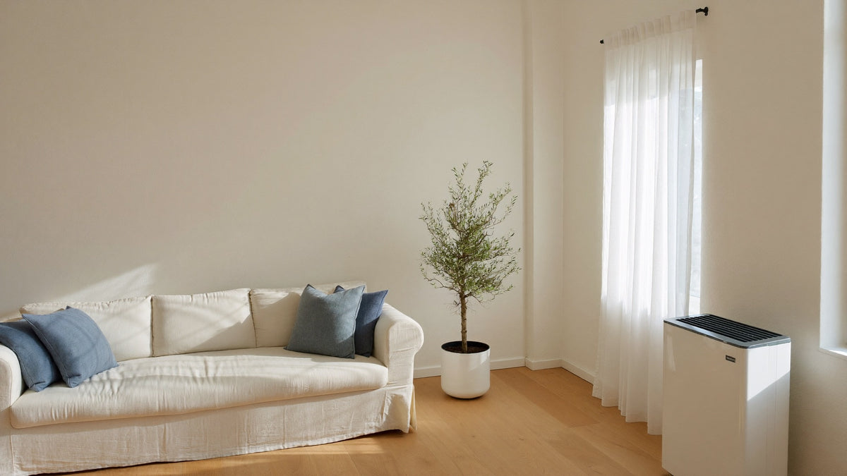Soggiorno luminoso con un raffrescatore d'aria portatile Coldest Breeze accanto alla finestra